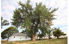 Property photo 14 - LAND & WATER RIGHTS AUCTION - 33+/- ACRES & 67 WATER UNITS/SHARES IN 26 TRACTS IN BOULDER COUNTY, CO